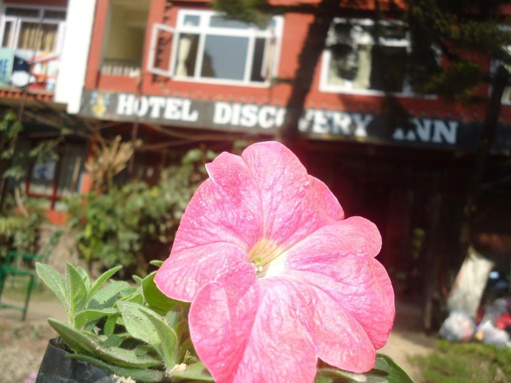 Hotel Discovery Inn Katmandu Dış mekan fotoğraf